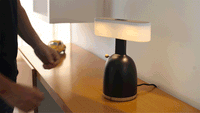 CoinLamp DINA